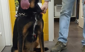 Centro Veterinario Eurovillas