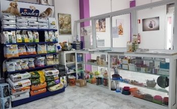 Melenara Crossing Veterinary Clinic