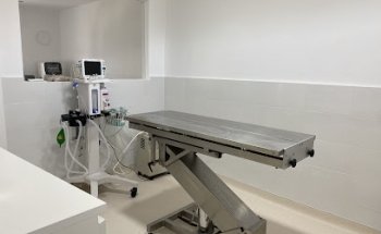 Clínica Veterinaria Caraca Driebes