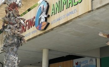 Surfing Animals | Veterinario & Peluqueria canina en Benidorm | Veterinary Benidorm | Ветеринарная клиника в Бенидорме