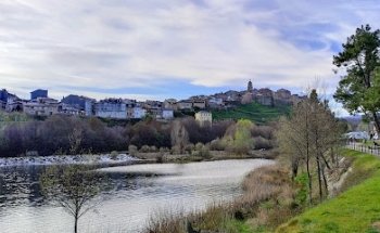 Clinica Veterinaria Aries