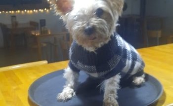 Veterinària La Pineda