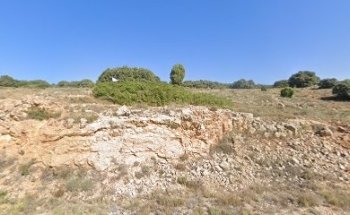 Veterinario Urgencias