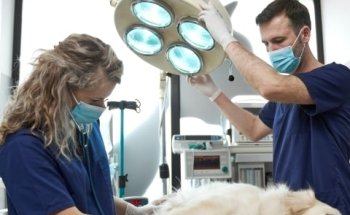 Centro veterinario Pumba