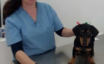 Centro Veterinario Petjades Barcelona