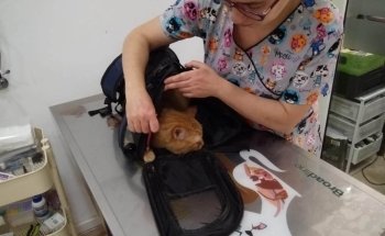 Centro Veterinario Petjades Barcelona