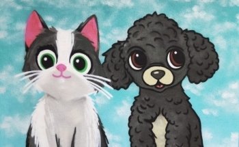 Vet´s Friends Clinica veterinaria