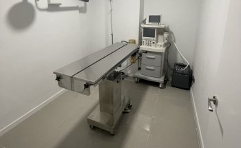 Vet´s Friends Clinica veterinaria