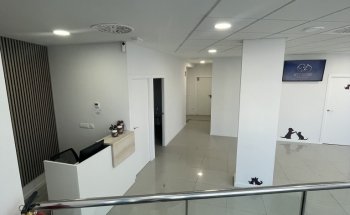 Vet´s Friends Clinica veterinaria