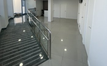 Vet´s Friends Clinica veterinaria