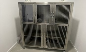 Vet´s Friends Clinica veterinaria