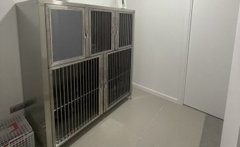 Vet´s Friends Clinica veterinaria