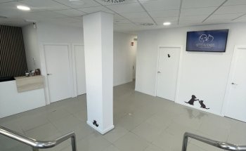 Vet´s Friends Clinica veterinaria