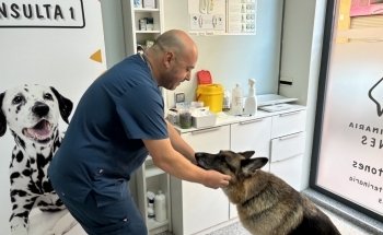 Clínica Veterinaria Lametones