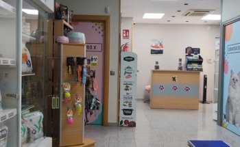 Clínica Veterinaria Lametones