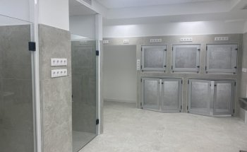 Clínica Veterinaria Mataró