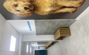 Clínica Veterinaria Mataró