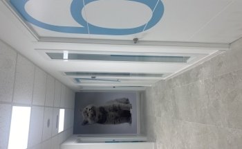 Clínica Veterinaria Mataró