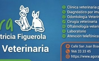 Ágora Clínica Veterinaria