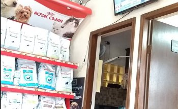 Dr. Garcia Hospital Veterinario