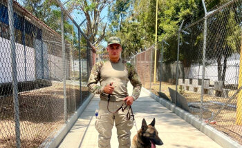 VETERINARIA ALTA GAMA II