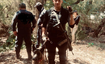 VETERINARIA ALTA GAMA