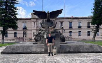 VETERINARIA ALTA GAMA