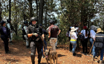 VETERINARIA ALTA GAMA