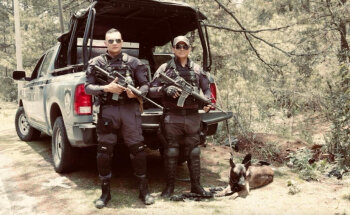 VETERINARIA ALTA GAMA