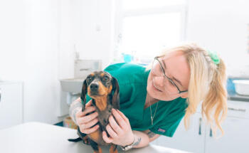 ScotVet Sandyhills