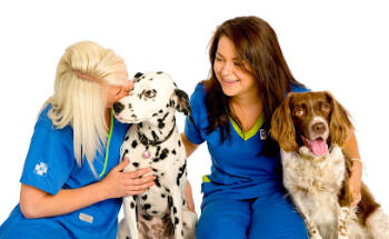 White Cross Vets