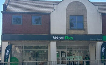 Vets for Pets - Filton