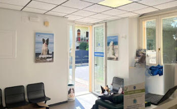 Veterinary Hospital Ardenza