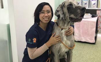 CVC- Canary Vet. Clinic