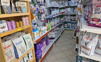 Village Vet Veterinary LLC