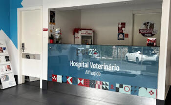Hospital Veterinário de Alfragide | PET24