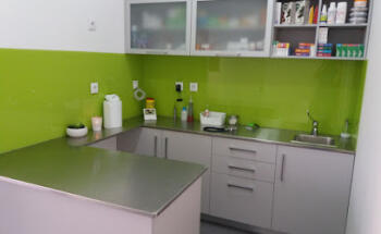 Lisvet - Consultório Veterinário