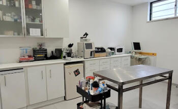 Clinica Veterinaria São Romão