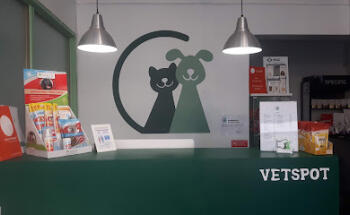 VetSpot Centro Veterinário