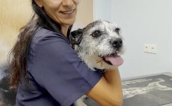 Clínica Veterinária do Bonfim (Setúbal) - Os Bichos