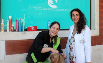 Veterinários do Sado