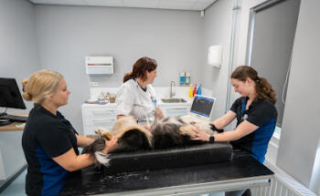 Dierenkliniek de Postwagen Venlo