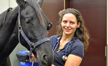 Iris van Gulik Paardendierenarts