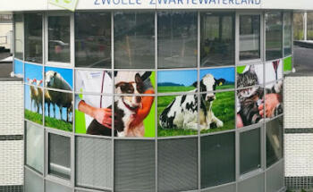 Dierenartsenpraktijk Zwolle Zwartewaterland????????
