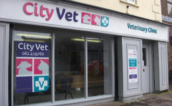 City Vet