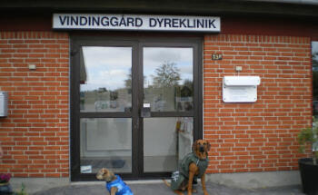 Vindinggaard Dyreklinik