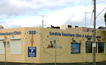 Kardinia Veterinary Clinic