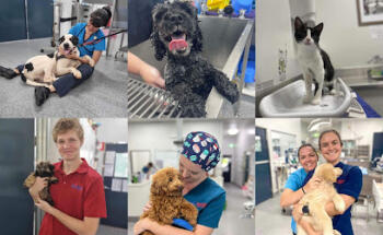 Southside Veterinary Surgery