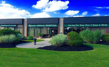 Kingsdale Animal Hospital