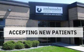 Ambassador Animal Hospital